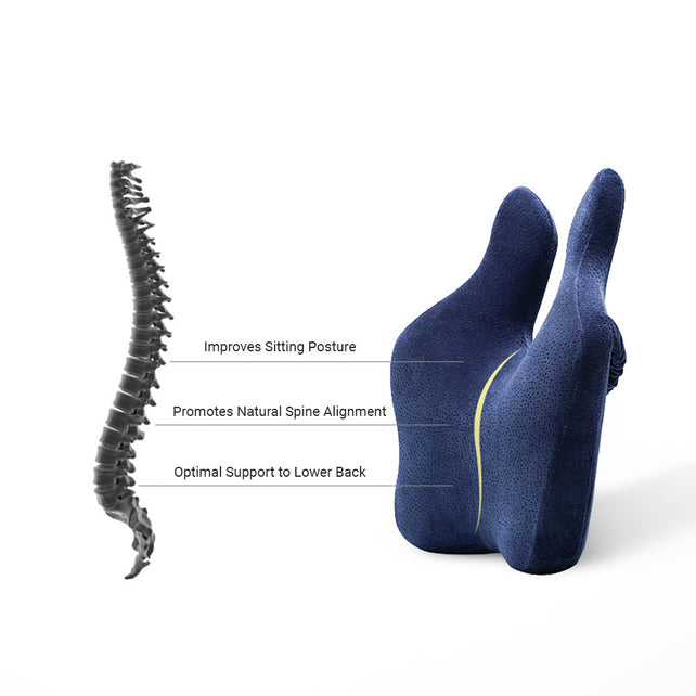 Majesty Lumbar Support - Fine Foams